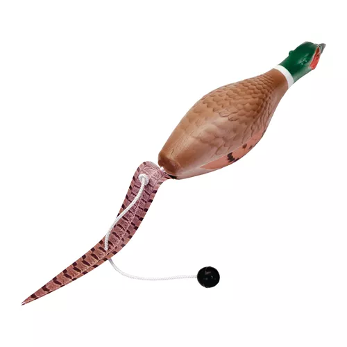 Water & Woods™ Foam Fowl Dog Trainer Product image